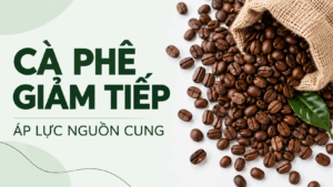 Thị trường hàng hóa 27/10/2026: Cà phê giảm tiếp, kim loại chịu áp lực tâm lý
